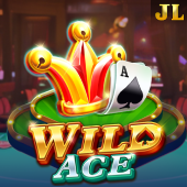 Wild Ace slot on RG77